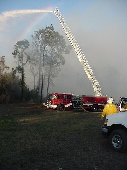 Brush fire