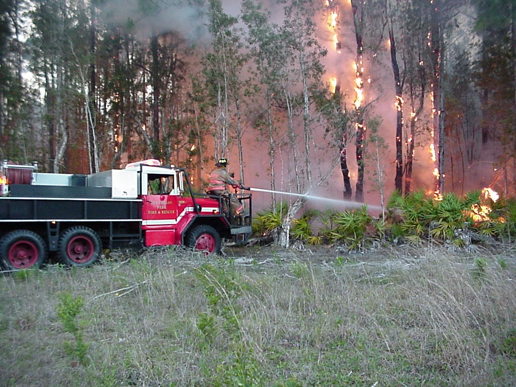 Brush fire